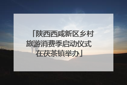 陕西西咸新区乡村旅游消费季启动仪式在茯茶镇举办