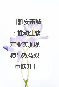 雅安雨城：推动生猪产业实现规模与效益双重跃升