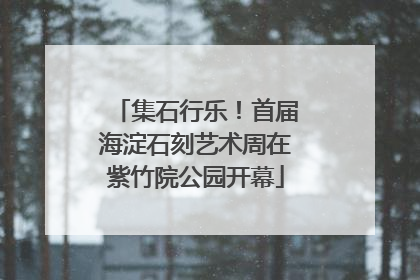 集石行乐！首届海淀石刻艺术周在紫竹院公园开幕