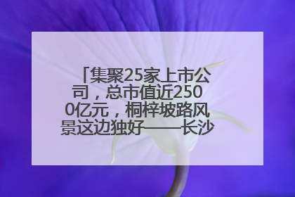 集聚25家上市公司，总市值近2500亿元，桐梓坡路风景这边独好——长沙有条“上市路”