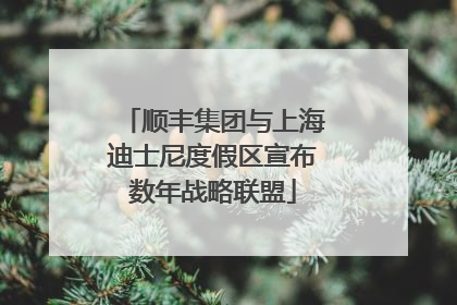 顺丰集团与上海迪士尼度假区宣布数年战略联盟