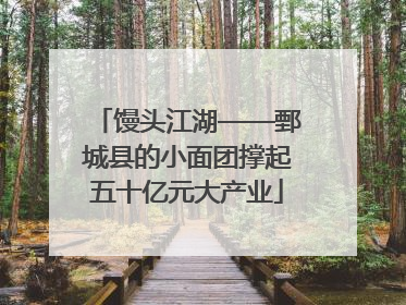 馒头江湖——鄄城县的小面团撑起五十亿元大产业