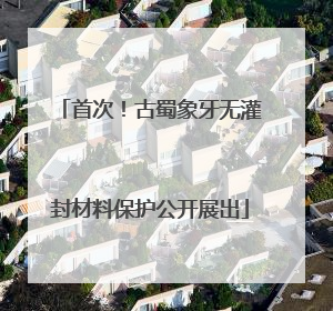 首次！古蜀象牙无灌封材料保护公开展出