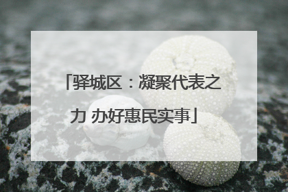 驿城区：凝聚代表之力 办好惠民实事