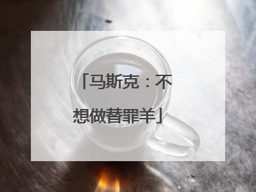 马斯克：不想做替罪羊