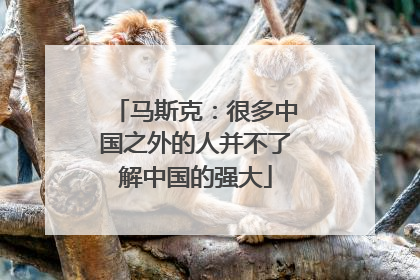 马斯克：很多中国之外的人并不了解中国的强大