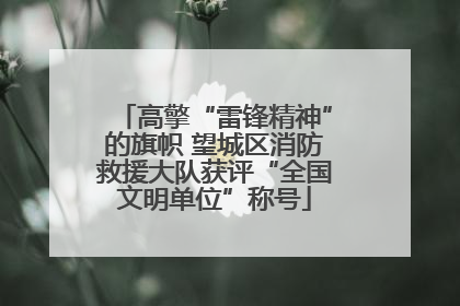高擎“雷锋精神”的旗帜 望城区消防救援大队获评“全国文明单位”称号