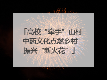 高校“牵手”山村 中药文化点燃乡村振兴“新火花”