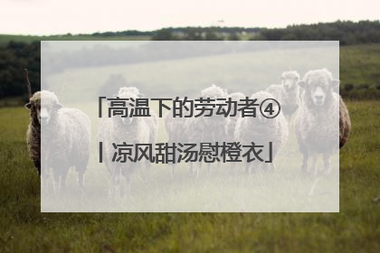 高温下的劳动者④丨凉风甜汤慰橙衣