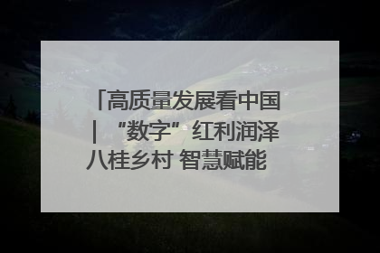 高质量发展看中国｜“数字”红利润泽八桂乡村 智慧赋能绘就振兴画卷