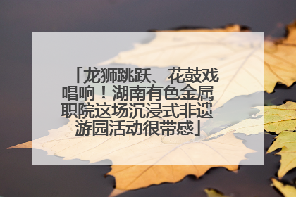 龙狮跳跃、花鼓戏唱响！湖南有色金属职院这场沉浸式非遗游园活动很带感