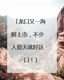 龙口又一海鲜上市，不少人夏天就好这一口！
