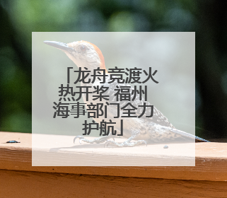 龙舟竞渡火热开桨 福州海事部门全力护航