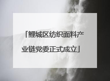 鲤城区纺织面料产业链党委正式成立