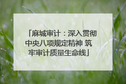 麻城审计：深入贯彻中央八项规定精神 筑牢审计质量生命线