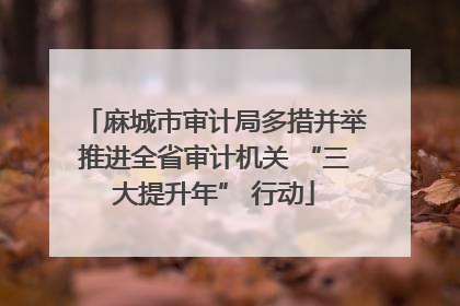 麻城市审计局多措并举推进全省审计机关 “三大提升年” 行动