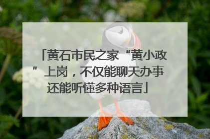 黄石市民之家“黄小政”上岗，不仅能聊天办事还能听懂多种语言