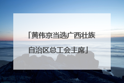 黄伟京当选广西壮族自治区总工会主席