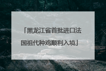 黑龙江省首批进口法国祖代种鸡顺利入境
