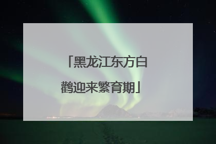 黑龙江东方白鹳迎来繁育期