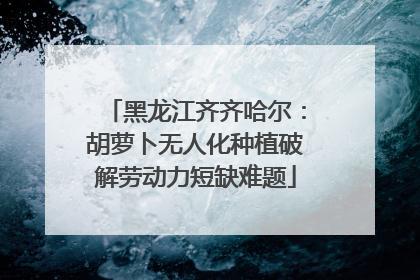 黑龙江齐齐哈尔：胡萝卜无人化种植破解劳动力短缺难题