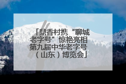 鼎香村携“聊城老字号”惊艳亮相第九届中华老字号（山东）博览会