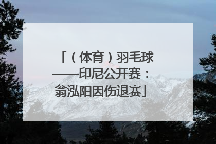 （体育）羽毛球——印尼公开赛：翁泓阳因伤退赛