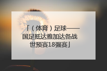 （体育）足球——国足抵达雅加达备战世预赛18强赛