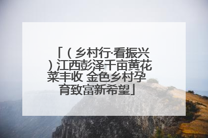 （乡村行·看振兴）江西彭泽千亩黄花菜丰收 金色乡村孕育致富新希望