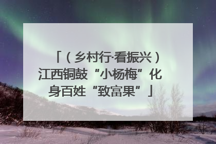 （乡村行·看振兴）江西铜鼓“小杨梅”化身百姓“致富果”