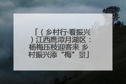 （乡村行·看振兴）江西鹰潭月湖区：杨梅压枝迎客来 乡村振兴添“梅”景