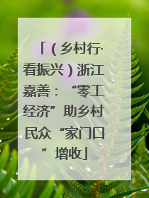 （乡村行·看振兴）浙江嘉善：“零工经济”助乡村民众“家门口”增收
