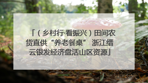 （乡村行·看振兴）田间农货直供“养老餐桌” 浙江缙云银发经济盘活山区资源