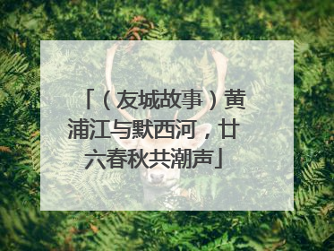 （友城故事）黄浦江与默西河，廿六春秋共潮声
