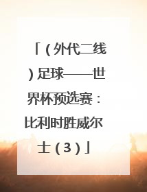 （外代二线）足球——世界杯预选赛：比利时胜威尔士（3）