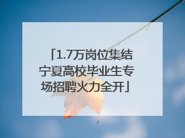1.7万岗位集结 宁夏高校毕业生专场招聘火力全开
