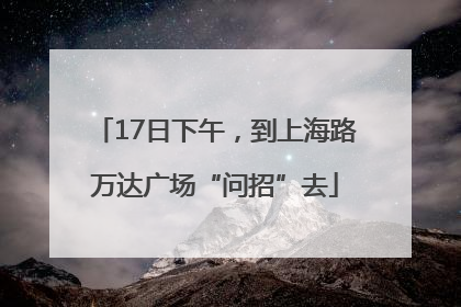 17日下午，到上海路万达广场“问招”去