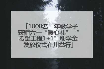 1800名一年级学子获赠六一“暖心礼” “希望工程1+1”助学金发放仪式在川举行