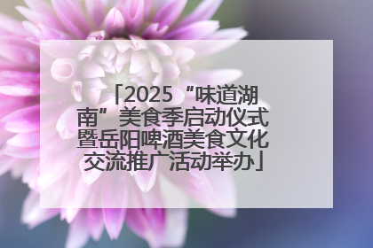 2025“味道湖南”美食季启动仪式暨岳阳啤酒美食文化交流推广活动举办