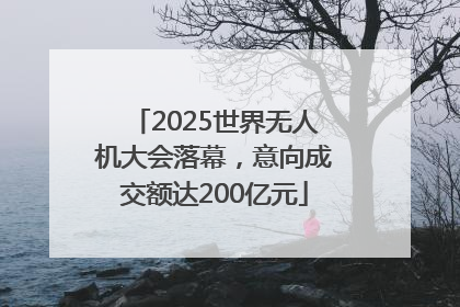 2025世界无人机大会落幕，意向成交额达200亿元