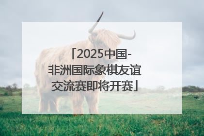2025中国-非洲国际象棋友谊交流赛即将开赛
