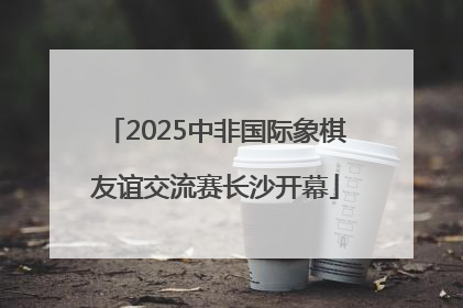 2025中非国际象棋友谊交流赛长沙开幕