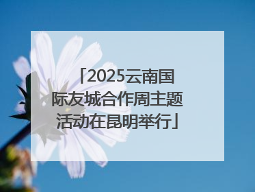 2025云南国际友城合作周主题活动在昆明举行