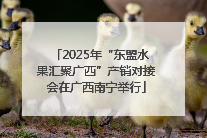 2025年“东盟水果汇聚广西”产销对接会在广西南宁举行