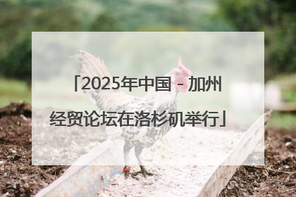 2025年中国－加州经贸论坛在洛杉矶举行