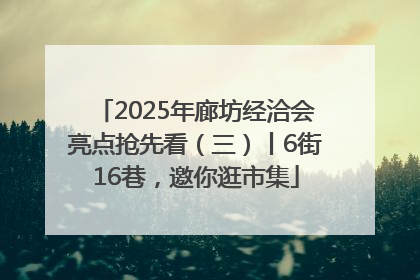 2025年廊坊经洽会亮点抢先看（三）丨6街16巷，邀你逛市集
