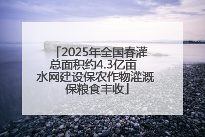 2025年全国春灌总面积约4.3亿亩 水网建设保农作物灌溉 保粮食丰收