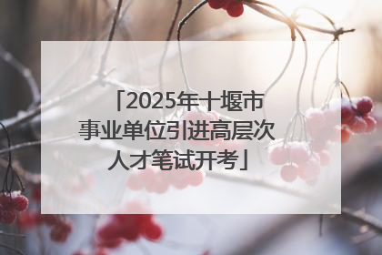 2025年十堰市事业单位引进高层次人才笔试开考