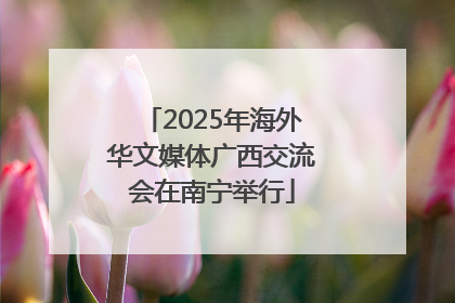 2025年海外华文媒体广西交流会在南宁举行