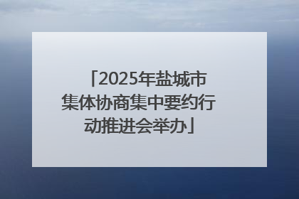2025年盐城市集体协商集中要约行动推进会举办